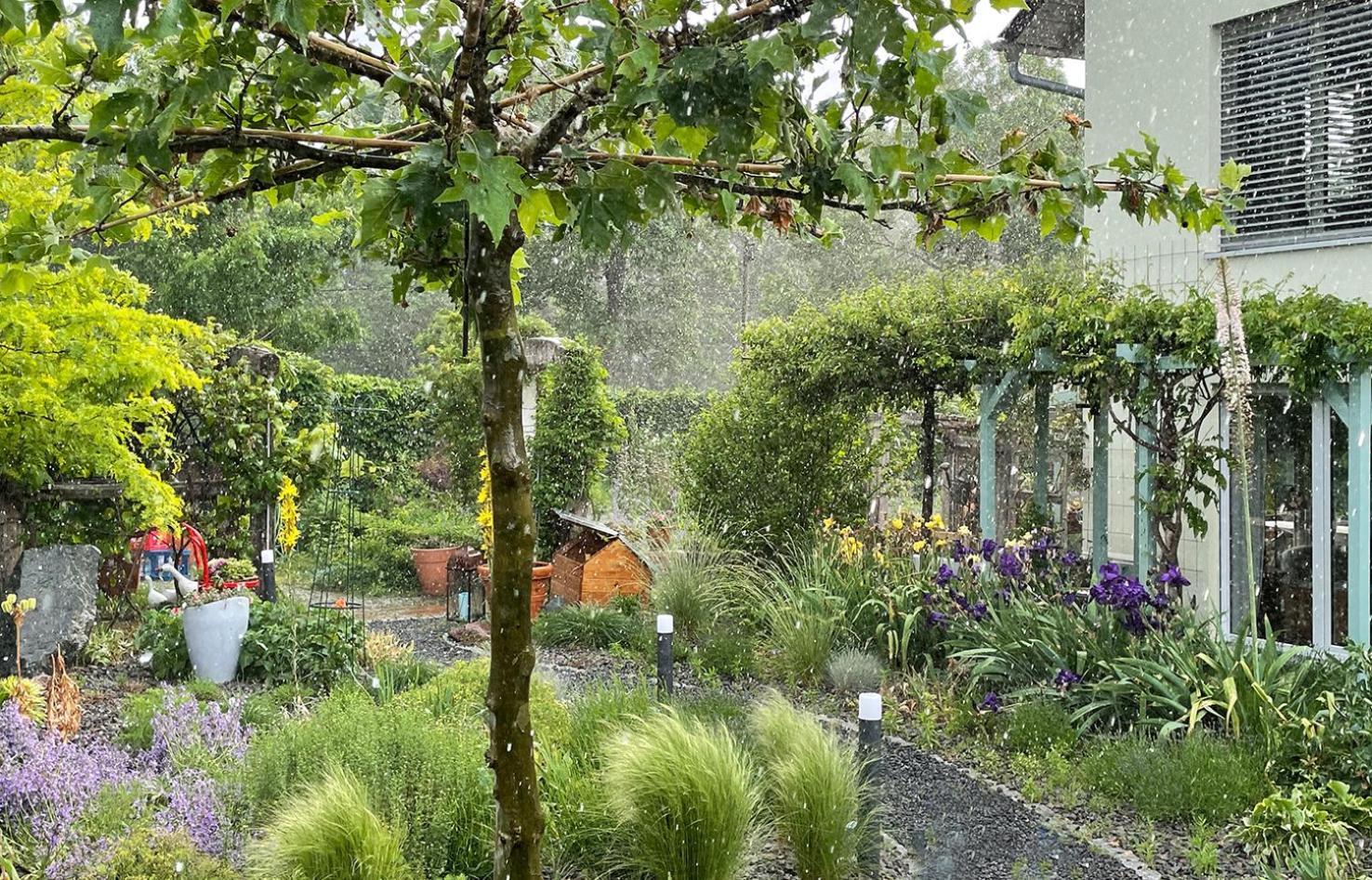 Auberge L'Art 에르푸르트 외부 사진