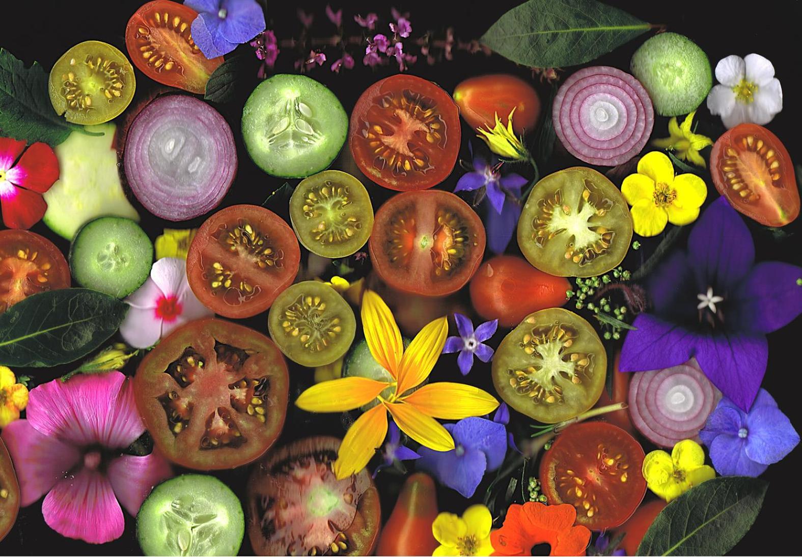 Auberge L'Art 에르푸르트 외부 사진